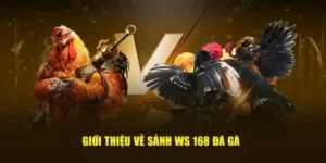 Khám Phá Cách Chơi Đá Gà WS168 Tại Mu88 Thắng Đậm Dễ Dàng